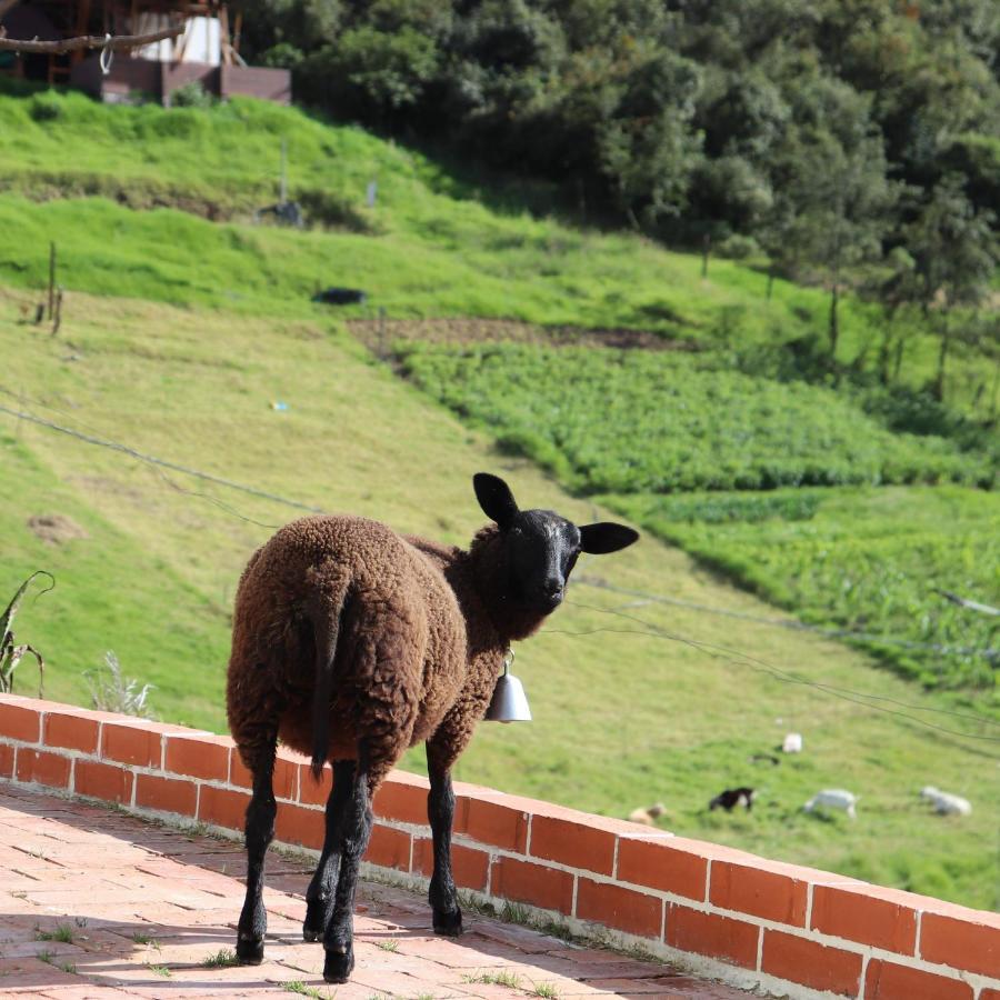 מלון Cogua Chalet En Granja Campo Hermoso מראה חיצוני תמונה